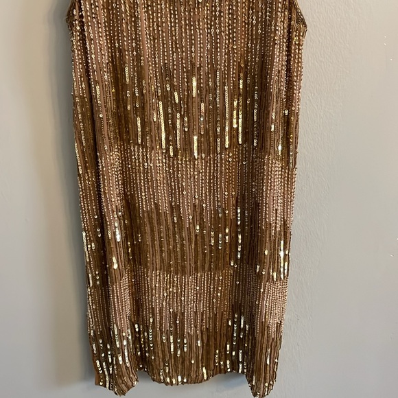 HAUTE HIPPIE sequin dress 100% silk REVOLVE - Picture 3 of 7